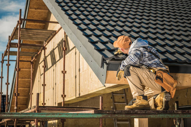 Best Roof Moss and Algae Removal  in Lake Mills, IA