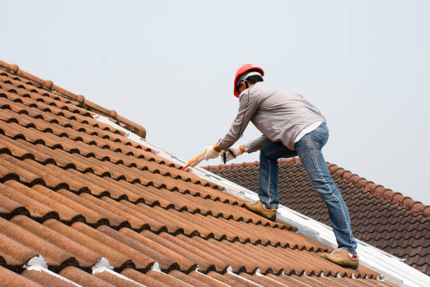 Best Roof Coating and Sealing  in Lake Mills, IA